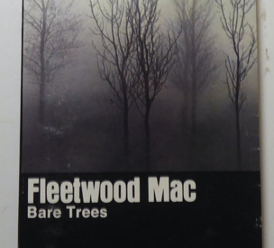 Fleetwood Mac – Bare Trees